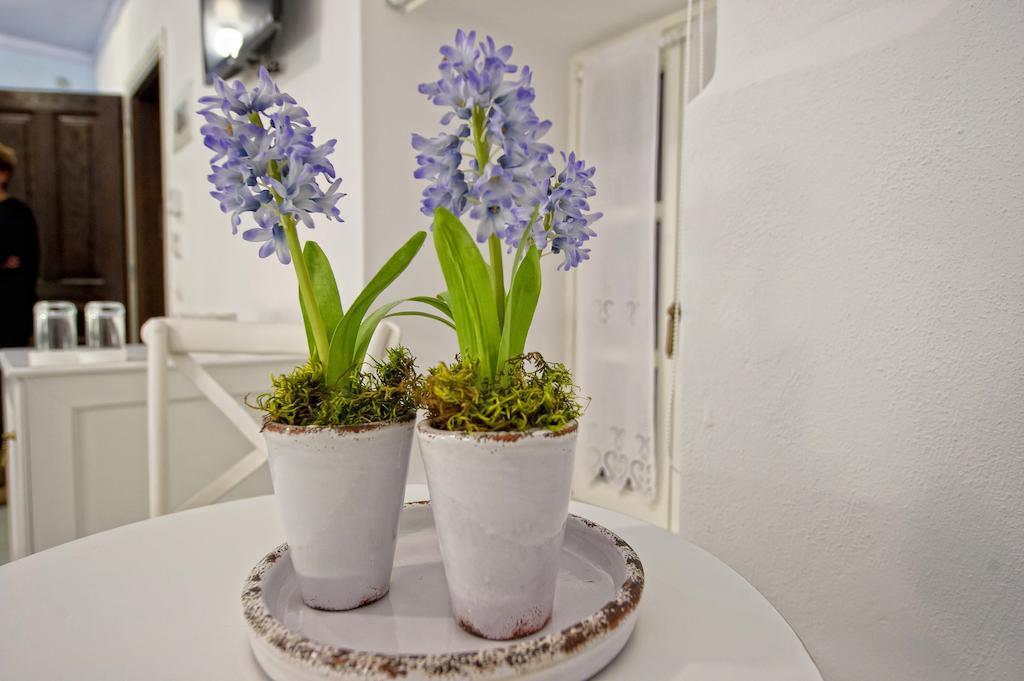 Orologopoulos Mansion Luxury Hotel Kastoria Chambre photo